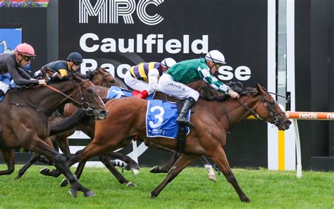 queen of the south stakes|Queen Of The South Stakes .